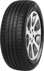 Minerva F209. 205/55 R16 91W