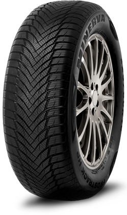 Minerva FROSTRACK HP 195/55 R16 91V