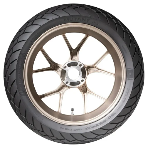 Dunlop MUTANT 170/60 R17 72 W – Image 4