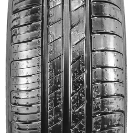 Goodyear EFFIC.GRIP PERF 205/55VR15TL 88 V