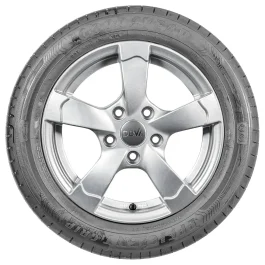 Goodyear EF.GRIP PER.ROF 205/60 R16 96 W MFS * ROF